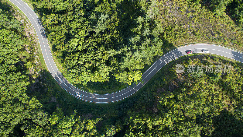 森林鸟瞰图中的道路曲线