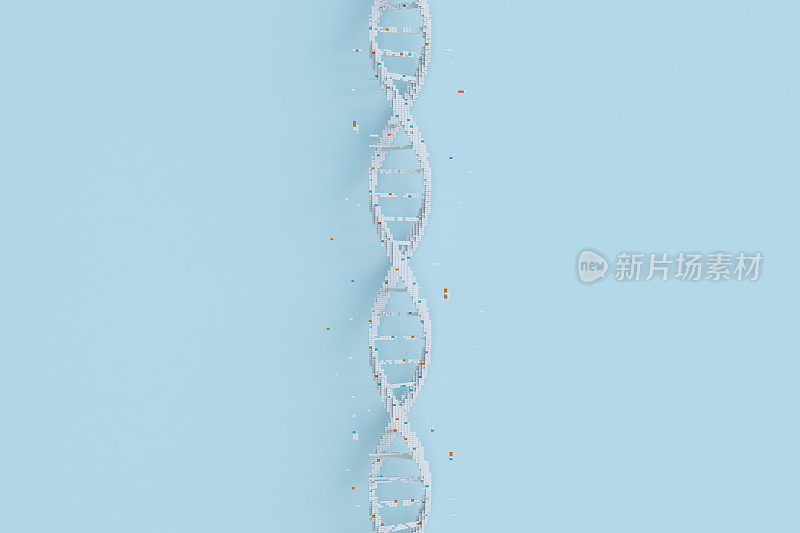 摘要DNA分子结构