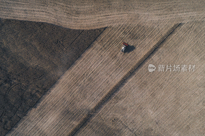 丰收的季节。鸟瞰图的联合收割机收集玉米作物在农业领域在秋天日落后。耕地中的农业设备。