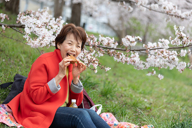 老妇人在樱花树下享受野餐