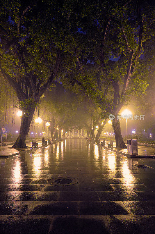 广州人民公园夜间雾，中国
