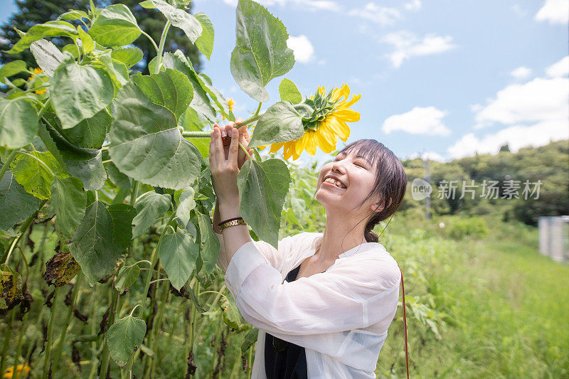 年轻女子暑假参观向日葵农场