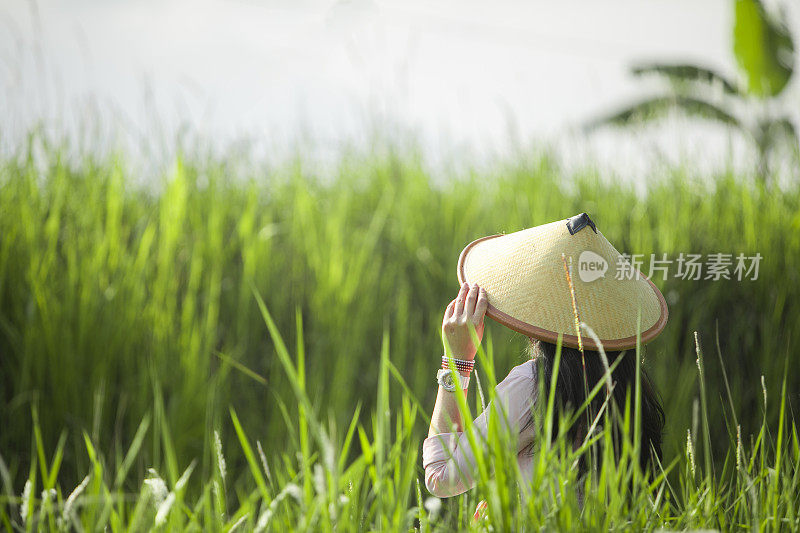 亚洲孕妇在稻田和她传统的房子里