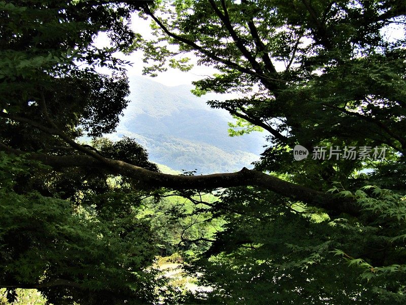 日本。8月。大自然的窗口。从茨城县筑波高地的一座山上观看。