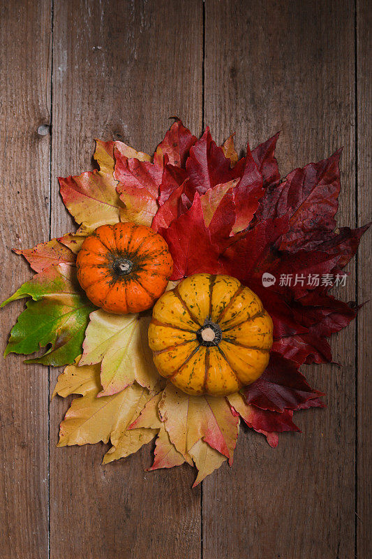 秋天的静物，南瓜和彩色的干树叶在木板上