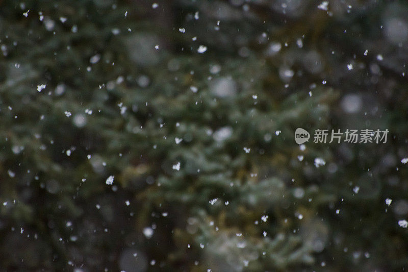 雪落的背景