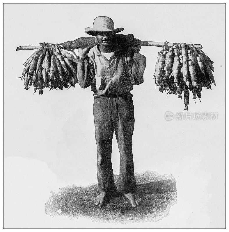 古董黑白照片:本地雪茄小贩，马亚奎斯，波多黎各