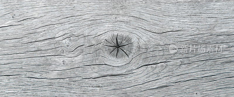 粗糙的木材，灰色的木板，垃圾，龟裂的节孔背景