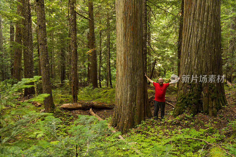 徒步旅行者享受自然的纯粹之美