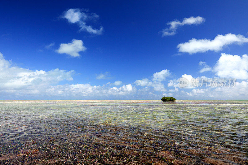 美丽的海景