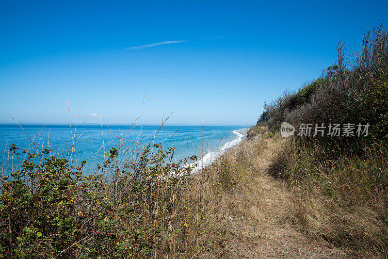 华盛顿的海岸线