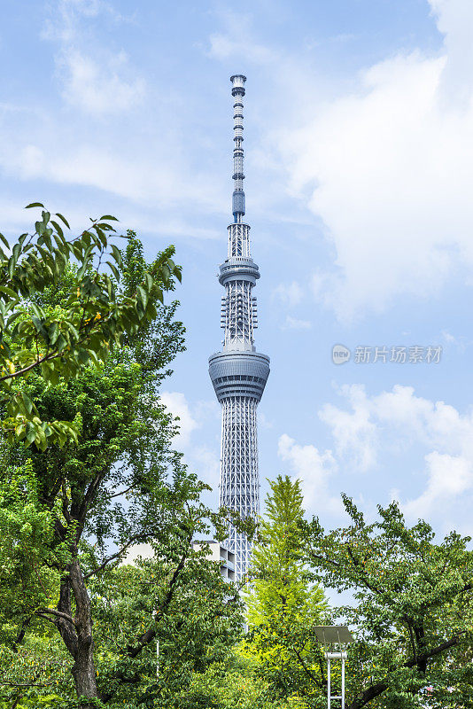 从金石公园看到的东京天空树