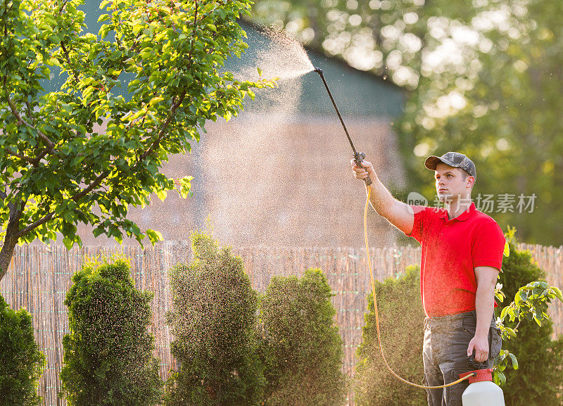一名园丁正在用喷雾器给果树施用杀虫剂