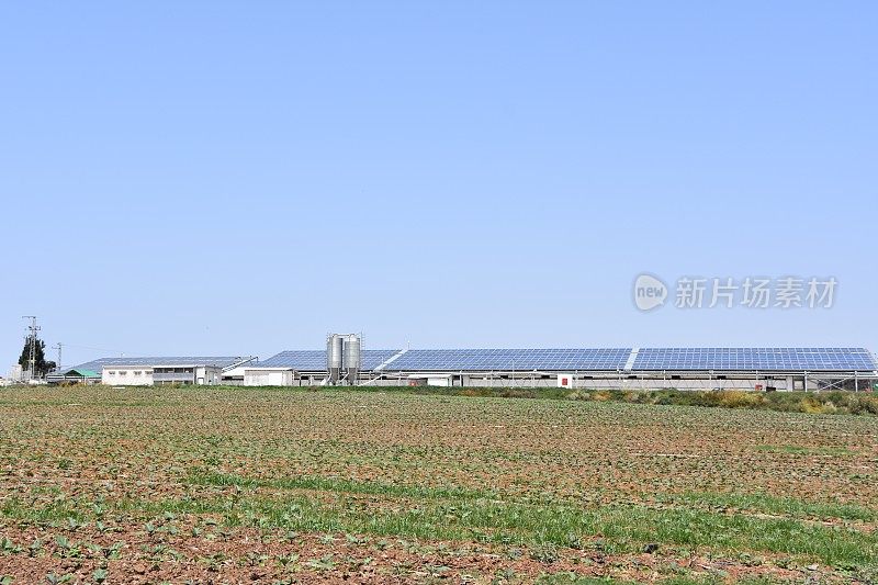 太阳能发电厂在自然界中