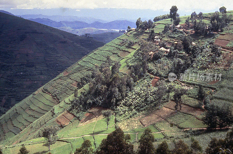 等高线堤岸陡峭的斜坡为土壤保护西北卢旺达非洲