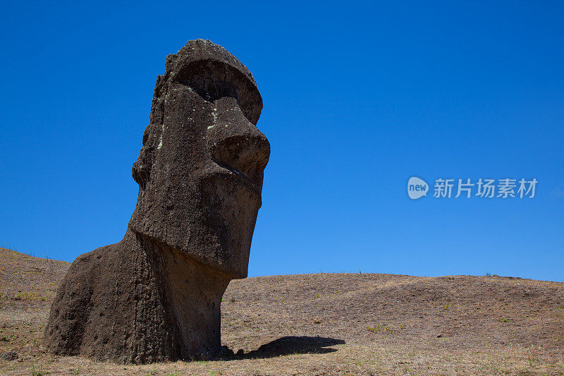 拉诺拉拉库火山的摩艾石像