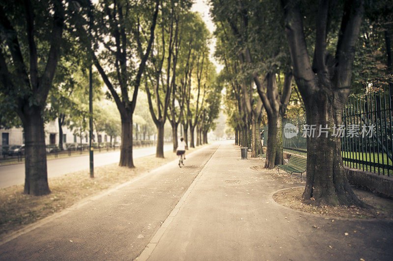 在米兰的绿荫大道上骑自行车