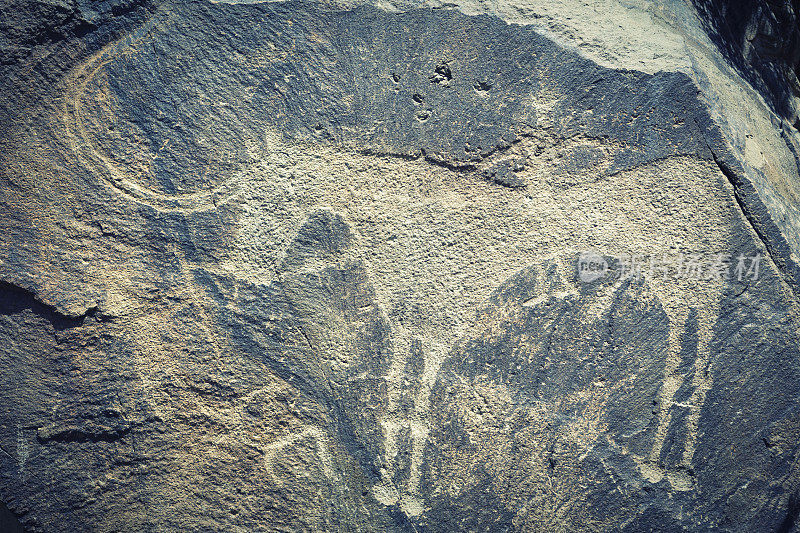 哈萨克斯坦坦加里的古岩画