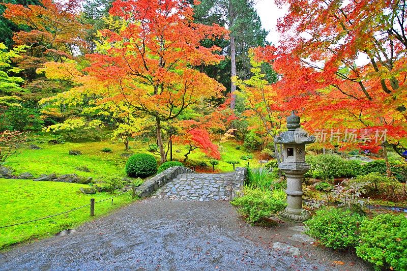 秋天的日本花园