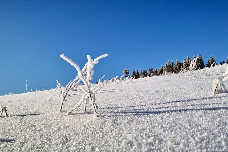 黑森林冬天的雪景