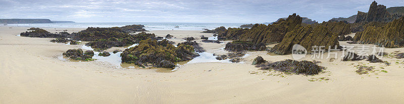 海滩,rockpools、海藻