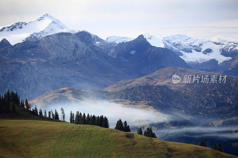 在阳光明媚的瑞士阿尔卑斯山脉，山丘、天空、树木、草地和云彩