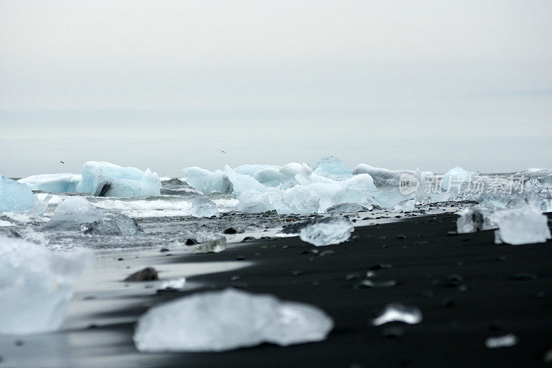 冰岛Jokulsarlon附近海岸的冰山。