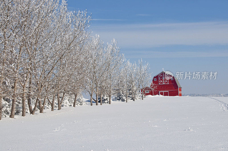 红色谷仓的冬季场景…遥远的