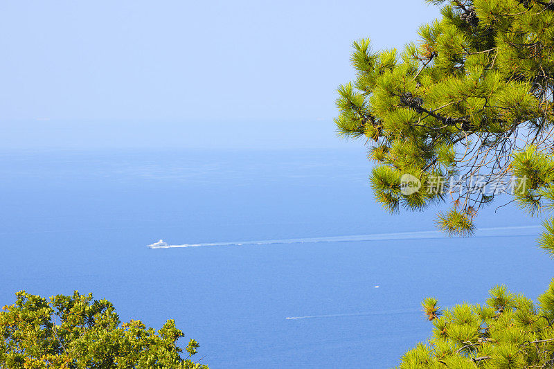 海洋松树框架地中海蓝色海景