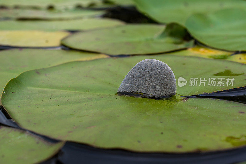 禅宗漂浮的石头