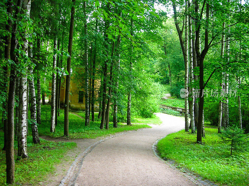 蜿蜒的路径穿过森林花园帕夫洛夫斯克宫附近的圣彼得堡