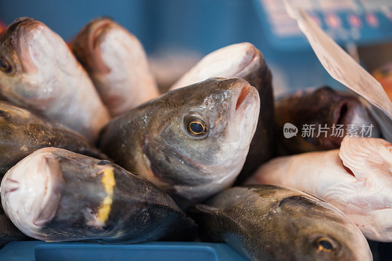 街市档内的新鲜海鲜