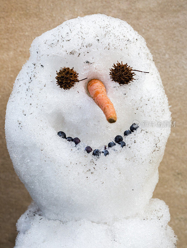 特写镜头,雪人的头