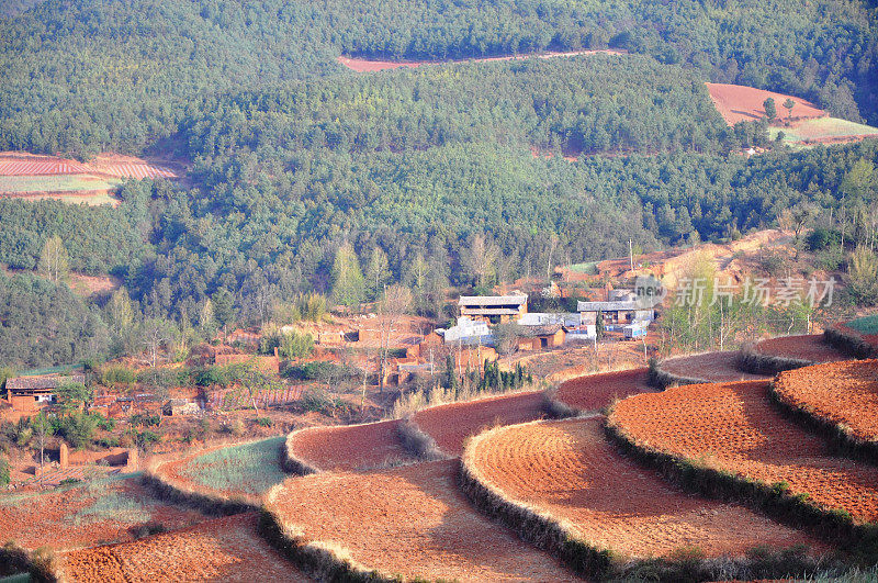 红土梯田上的村舍