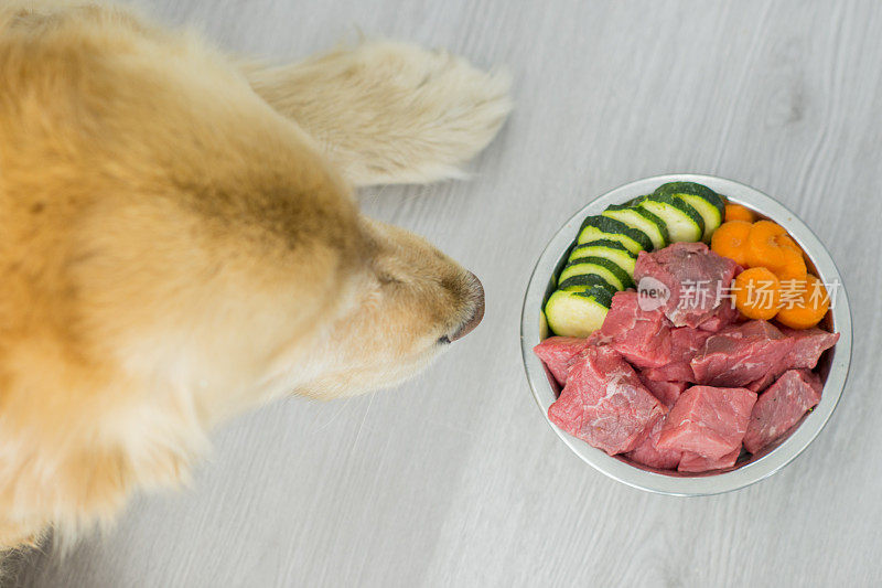 狗的健康饮食