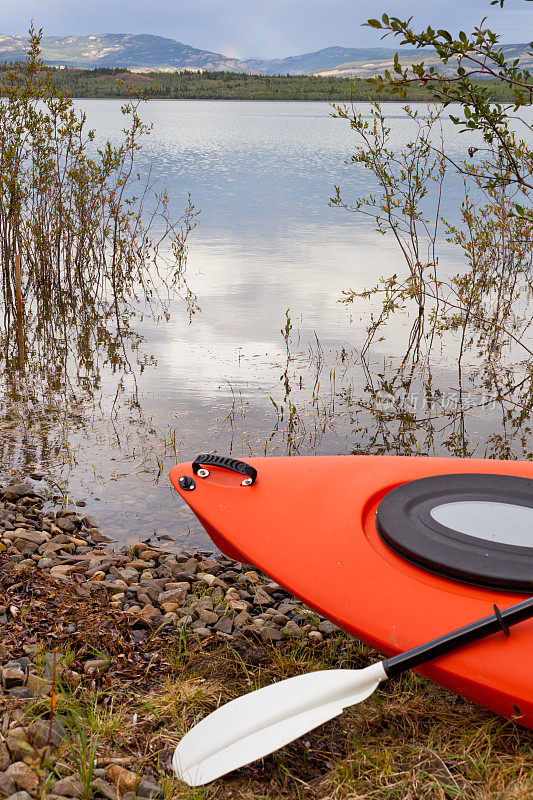 在湖边的柳树丛中划着皮划艇