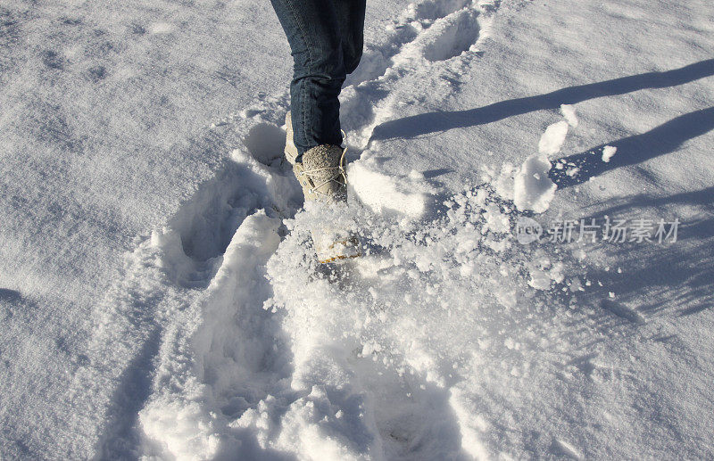 在雪中玩耍