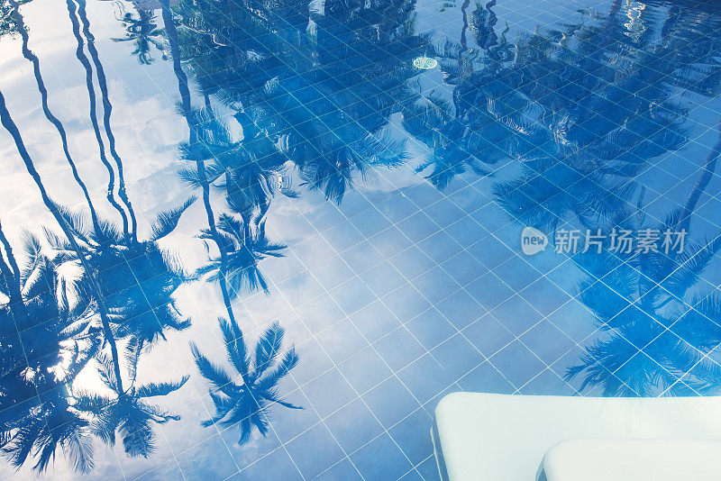 游泳池上棕榈树的倒影