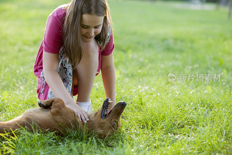 女孩在公园里和狗玩耍