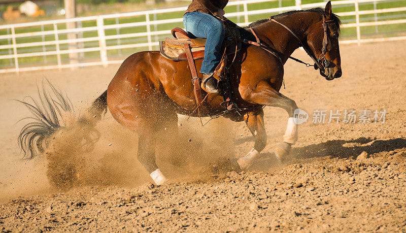 牛仔竞技会，牛仔和马的动作