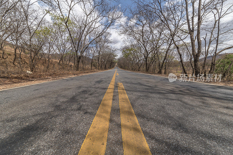 巴西东南部农村地区，两侧有树木的双路和立交桥区域