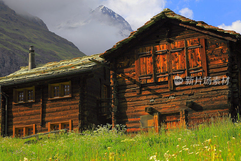 格林德沃(Grindelwald)乡村木农场谷仓和阿尔卑斯山的童话景观在鲜花盛开的春天:田园诗般的高山花坛山谷和野花草地，瑞士雪山，田园诗般的乡村，伯恩斯高地，瑞士阿尔卑斯山，瑞士