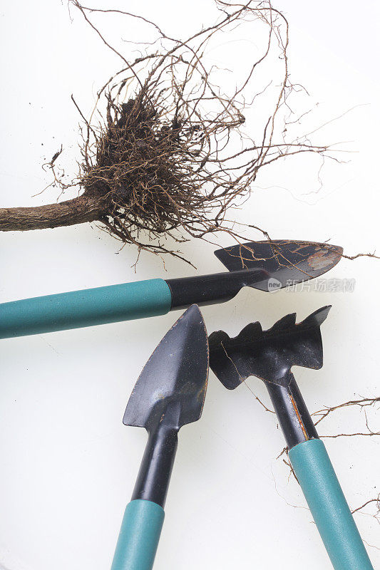 微型养花工具。在花盆中培土用的小铲子和耙子。