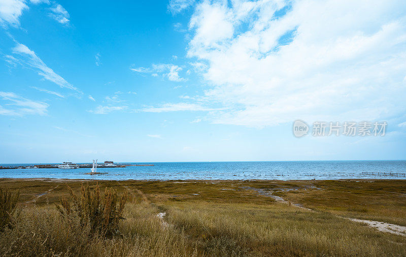 在青海湖