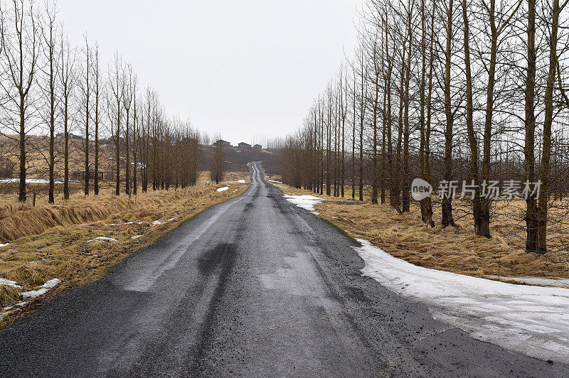 冰岛道路