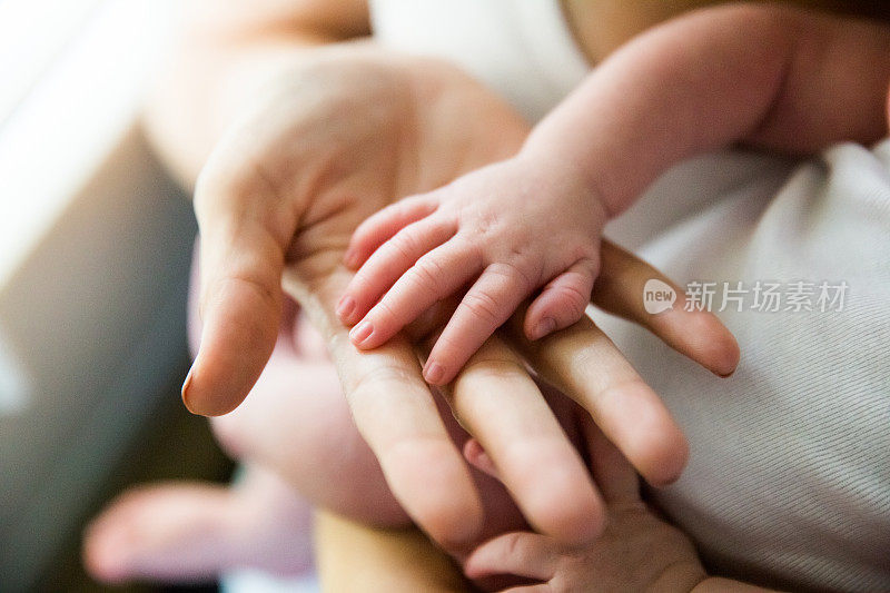 新生婴儿的手在妈妈的手里