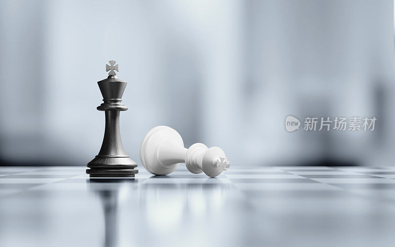 两王棋子在黑和白棋盘上