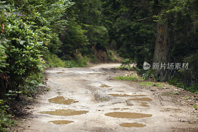 泥泞的乡村道路。