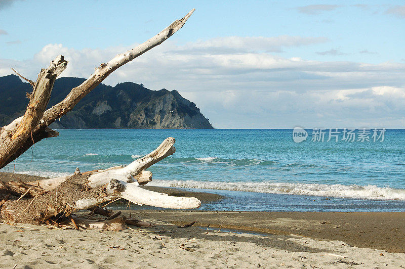 东开普省风景，北岛，新西兰