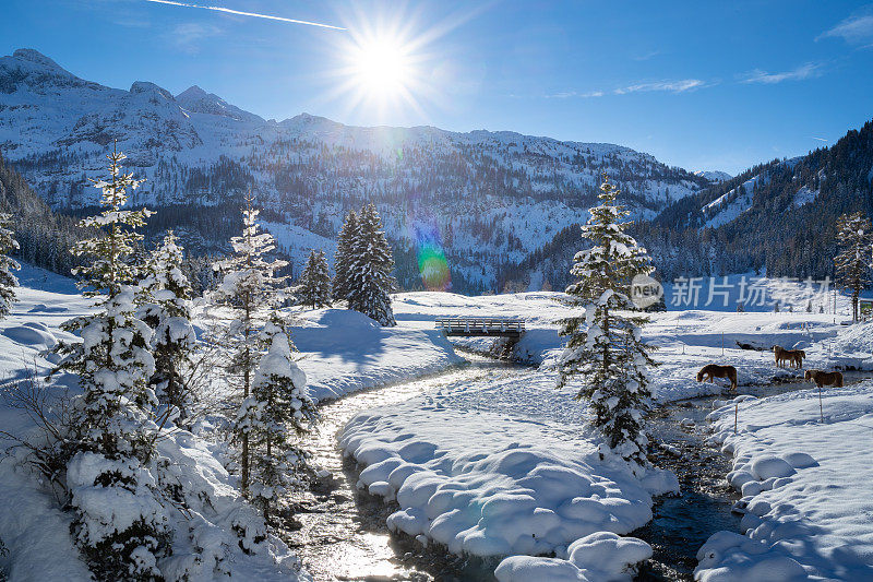 宁静的冰雪覆盖的冬季山谷景观在阳光明媚的日子